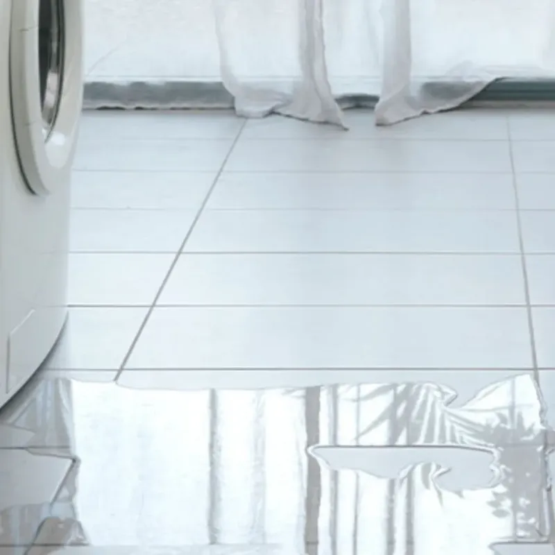 Appliance Leak Cleanup in Buckingham, VA