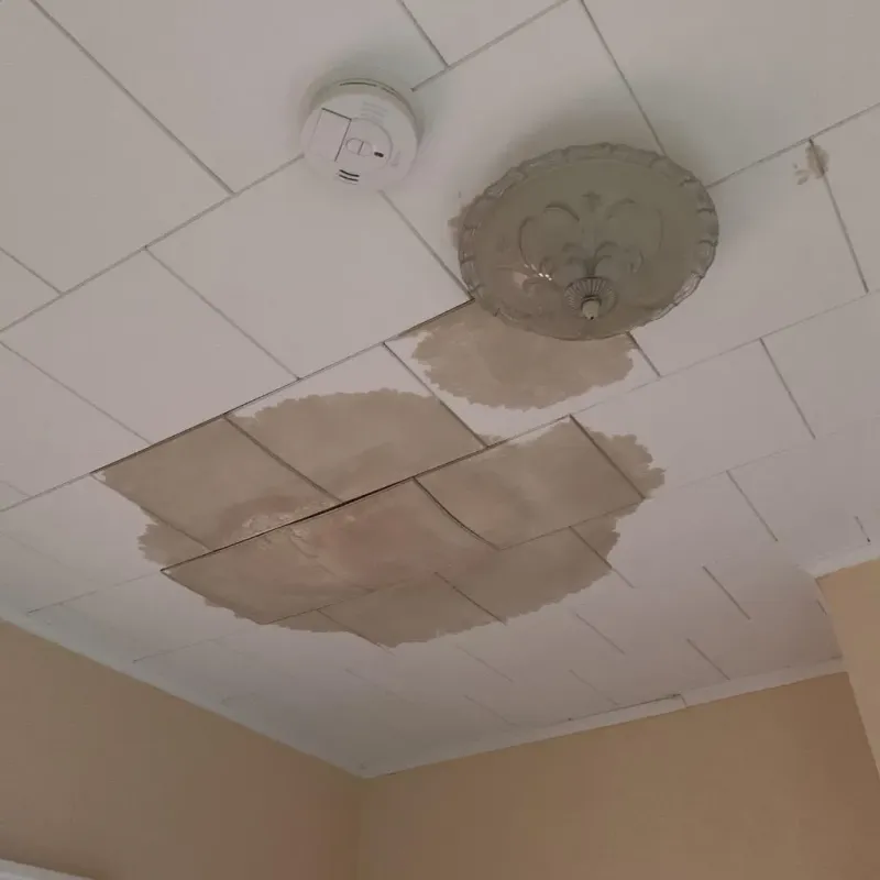 Ceiling Water Damage Repair in Buckingham, VA