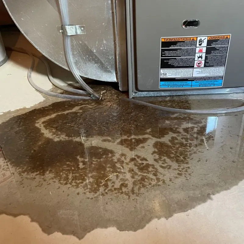 Pipe Burst and Leak Restoration in Buckingham, VA