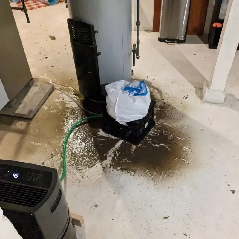 Sewage Backup Cleanup Service in Buckingham, VA